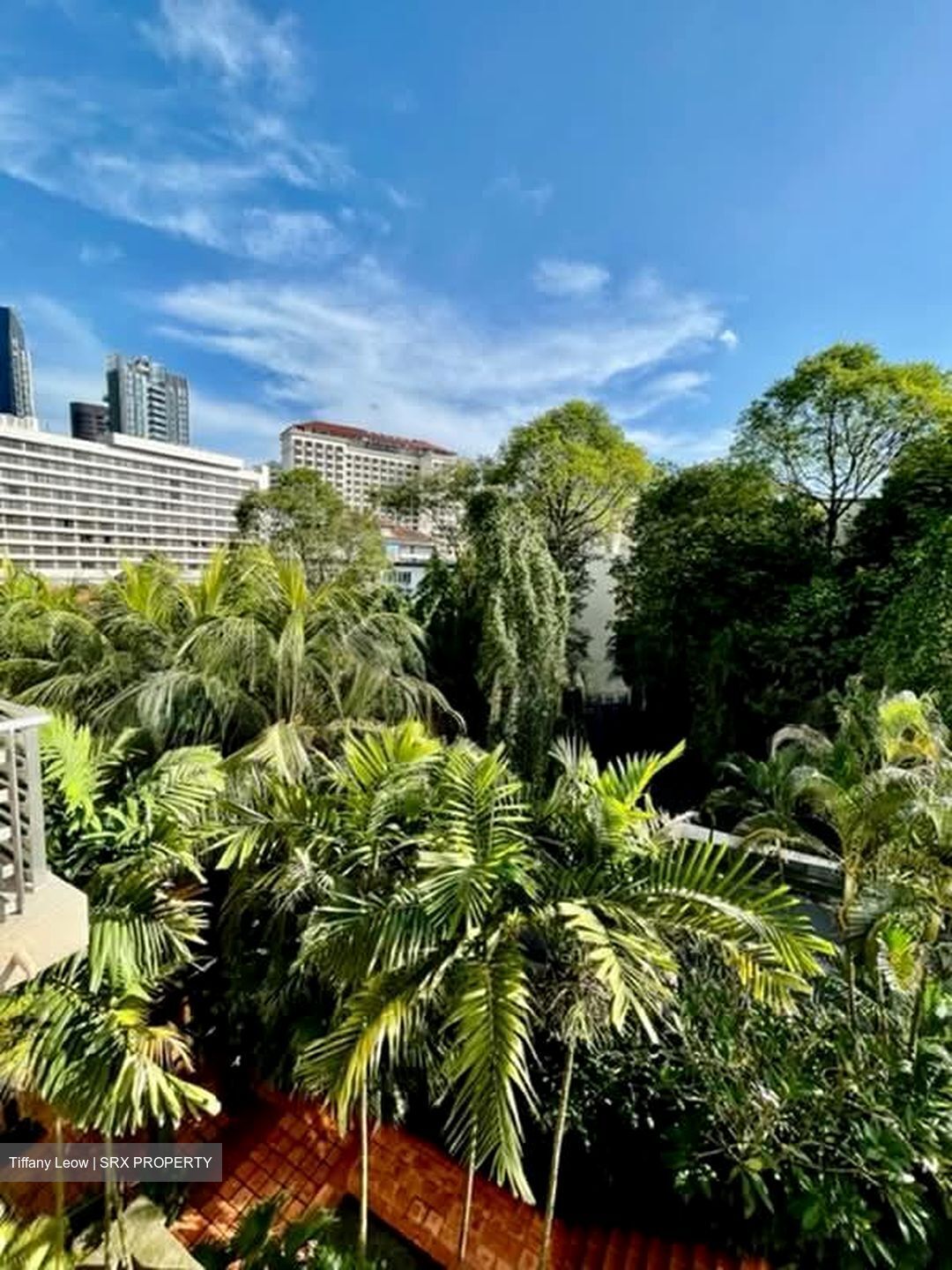 St. Martin Residence (D10), Condominium #583475971